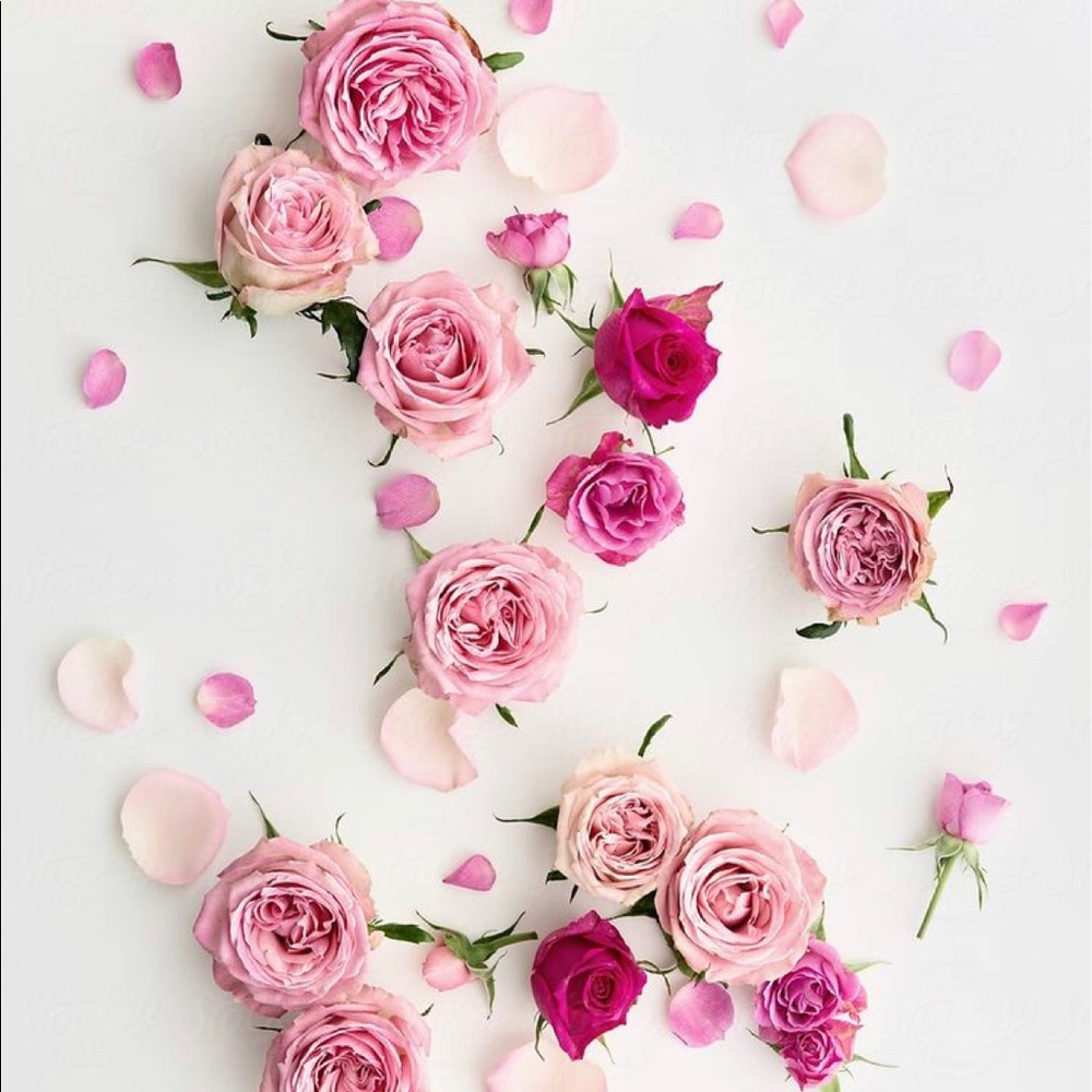 Meet your Posher, Mary